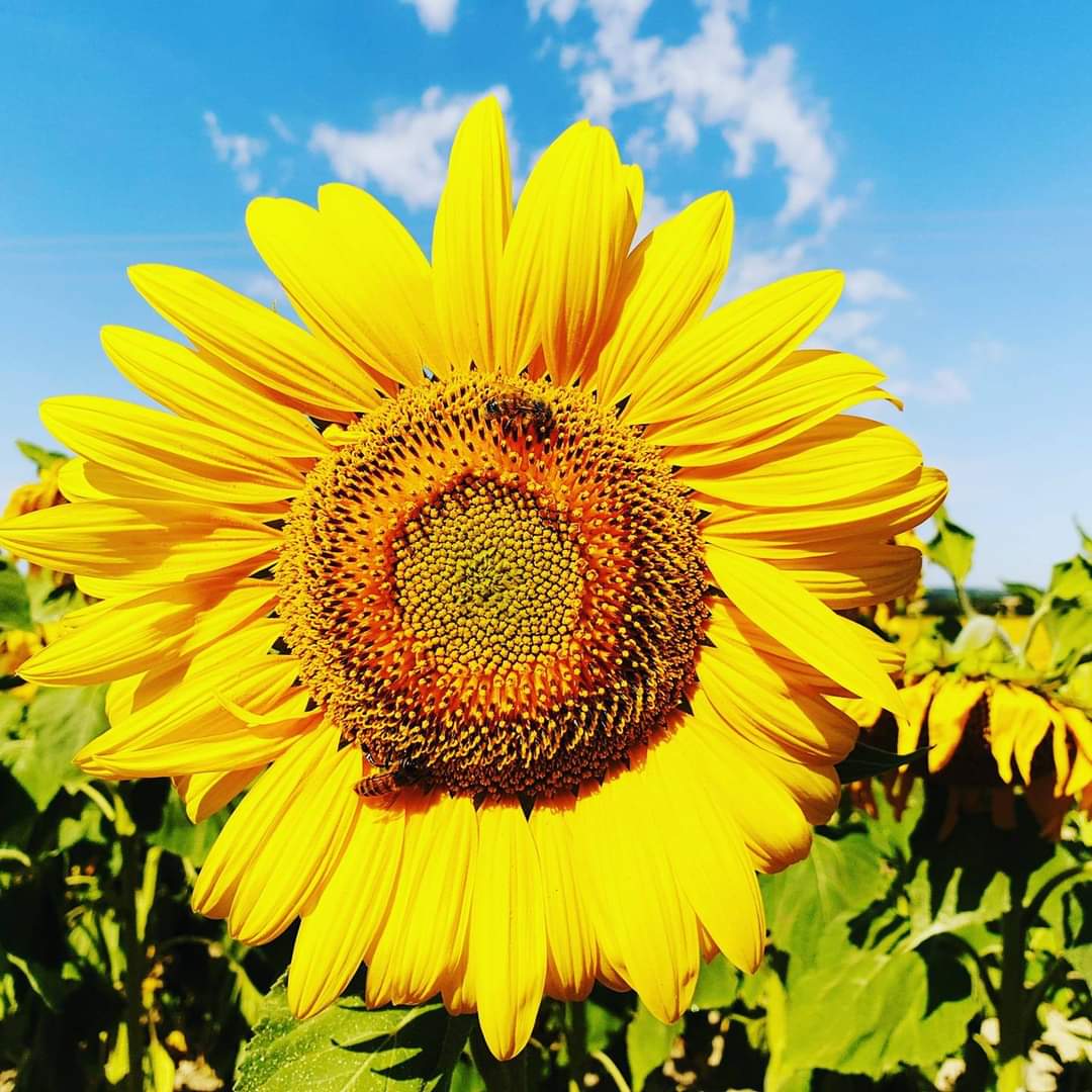 FB_IMG_1612164126513